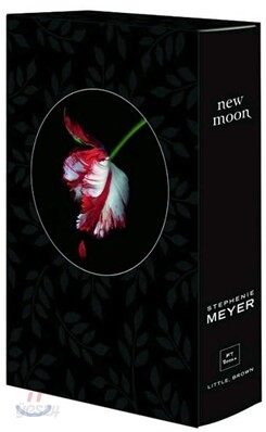 New Moon