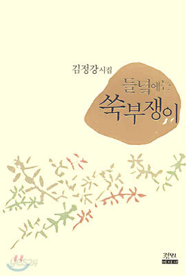 들녘에는 쑥부쟁이