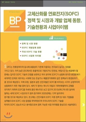 고체산화물 연료전지(sofc) 정책 및 시장과 개발업체동향, 기술현황과 사업아이템