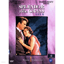 [DVD] Splendor In The Grass - ʿ  (̰)