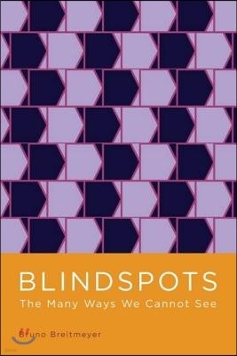 Blindspots: The Many Ways We Cannot See