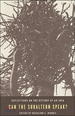 Can the Subaltern Speak?: Reflections on the History of an Idea