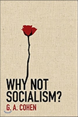 Why Not Socialism?