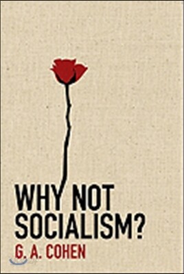 Why Not Socialism?
