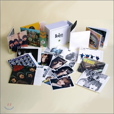 The Beatles - The Beatles in Mono Box Set (Ʋ  ڽƮ)