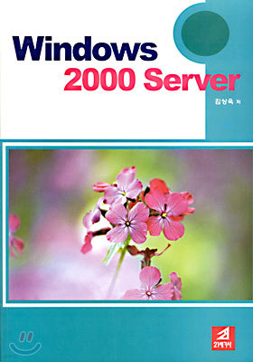 Winodws 2000 Server