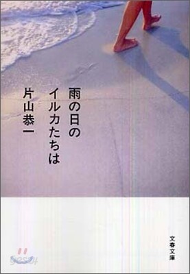 雨の日のイルカたちは