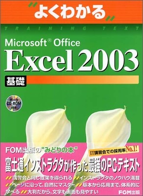誯磌Microsoft Office Excel 2003 (FPT0304)
