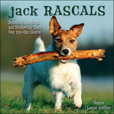 Jack Rascals: Bouncing, Barking, and Burrowing Their Way Into Our Hearts