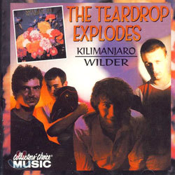 The Teardrop Explodes - Kilimanjaro/Wilder