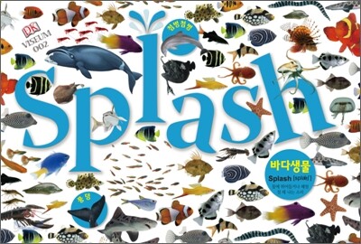 Splash 바다 생물