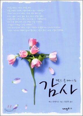 맥스 루케이도 감사