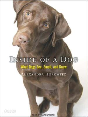 Inside of a Dog