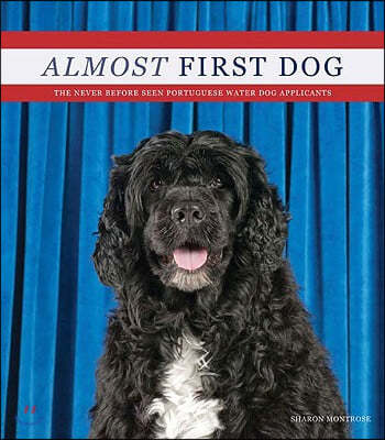 Almost First Dog: The Secret (Rejected) Portuguese Water Dog Applications