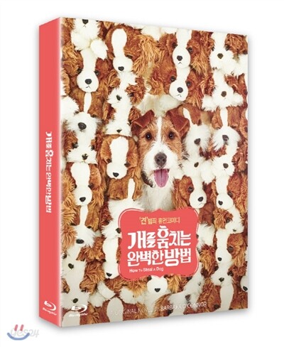 개를 훔치는 완벽한 방법 (풀슬립 한정판) : 블루레이