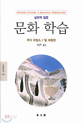 문화 학습
