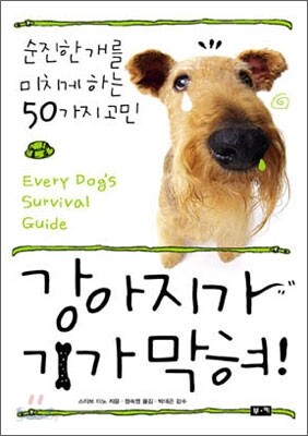강아지가 기가막혀