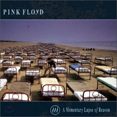Pink Floyd - Momentary Lapse Of Reason