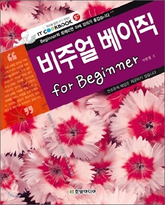 비주얼 베이직 FOR BEGINNER
