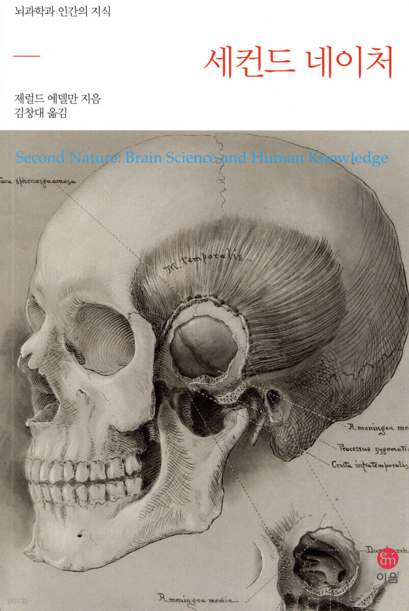 세컨드 네이처