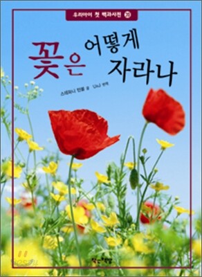 꽃은 어떻게 자라나
