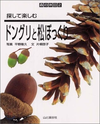 探して樂しむドングリと松ぼっくり