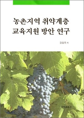 농촌지역 취약계층 교육지원 방안 연구