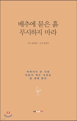 배추에 묻은 흙 무시하지 마라