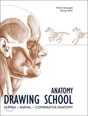 Anatomy Drawing School