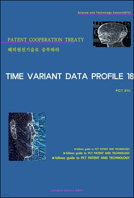 ؿܿõ º϶ TIME VARIANT DATA PROFILE 18