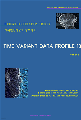 ؿܿõ º϶ TIME VARIANT DATA PROFILE 13