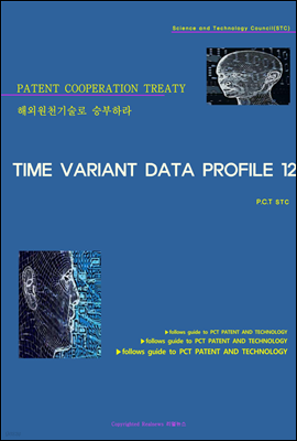 ؿܿõ º϶ TIME VARIANT DATA PROFILE 12