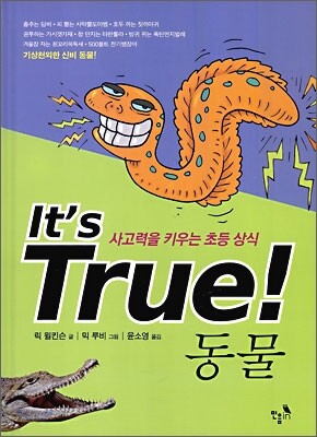 동물