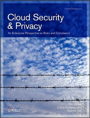 Cloud Security and Privacy: An Enterprise Perspective on Risks and Compliance