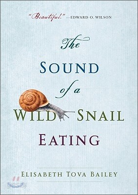 The Sound of a Wild Snail Eating
