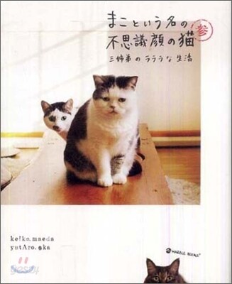 まこという名の不思議顔の猫(3)三姉弟のラララな生活