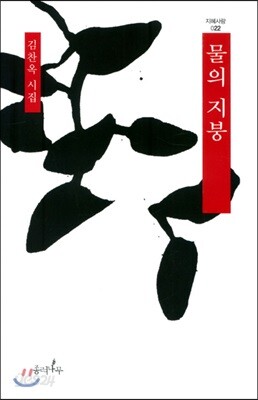 물의 지붕