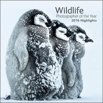 Wildlife Photographer of the Year: 2016 Highlights