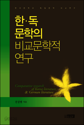 한독문학의 비교문학적 연구