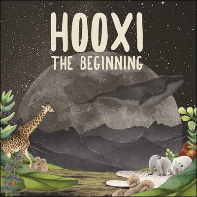 Hooxi, the Beginning