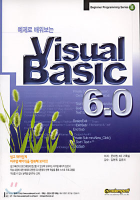   Visual Basic 6.0