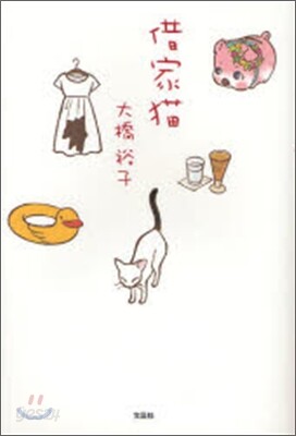 借家猫