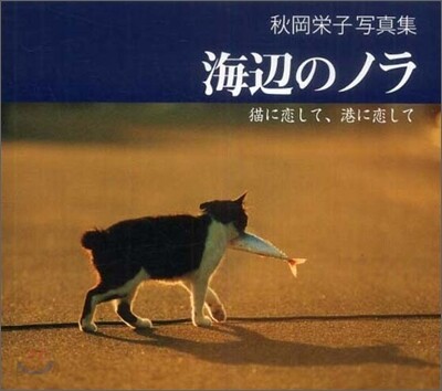 海邊のノラ