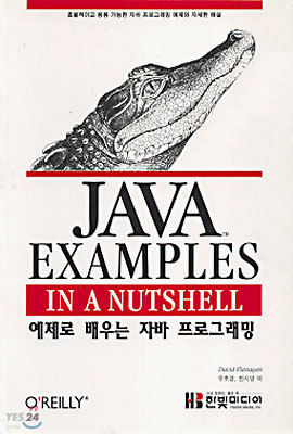 JAVA EXAMPLES IN A NUTSHELL