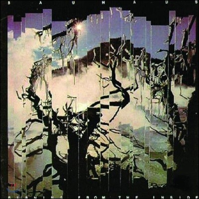 Bauhaus — Burning From The Inside 앨범 커버