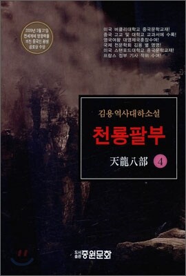 천룡팔부 4