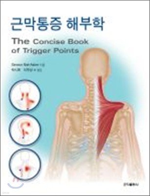 근막통증 해부학