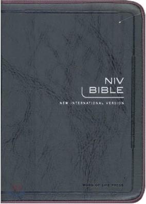 NIV BIBLE(ܺ,,,)(12*17)(׷)