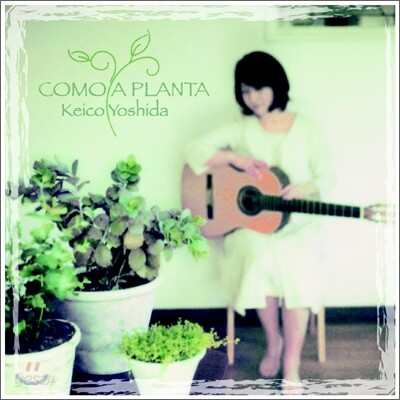 Keico Yoshida - Como A Planta