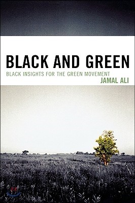 Black and Green: Black Insights for the Green Movement